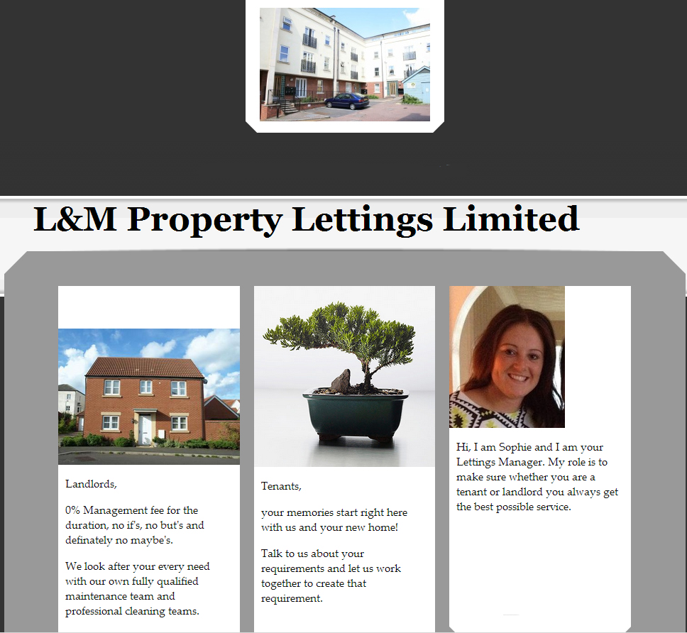 L&M Properties